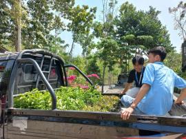 Pembagian Bibit Sirsak dan Pucuk Merah oleh KKN UNY Dusun Ngandong